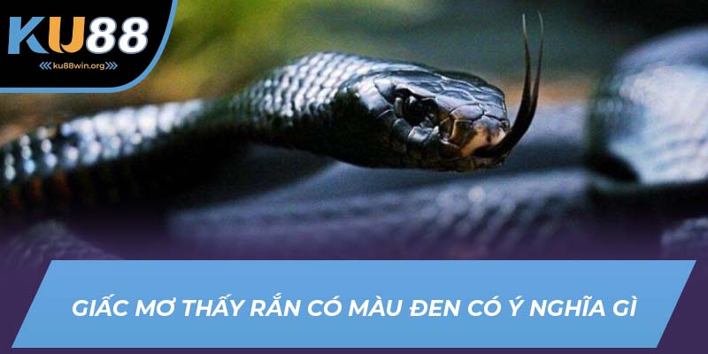 Giấc mơ thấy rắn có màu đen có ý nghĩa gì