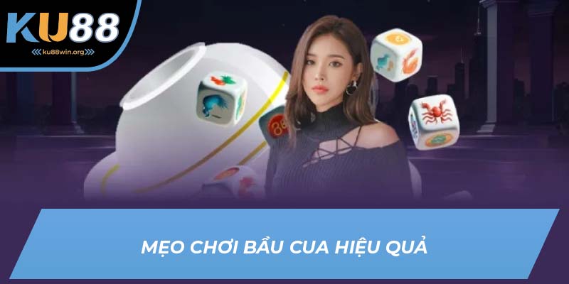 Mẹo chơi bầu cua trăm trận trăm thắng