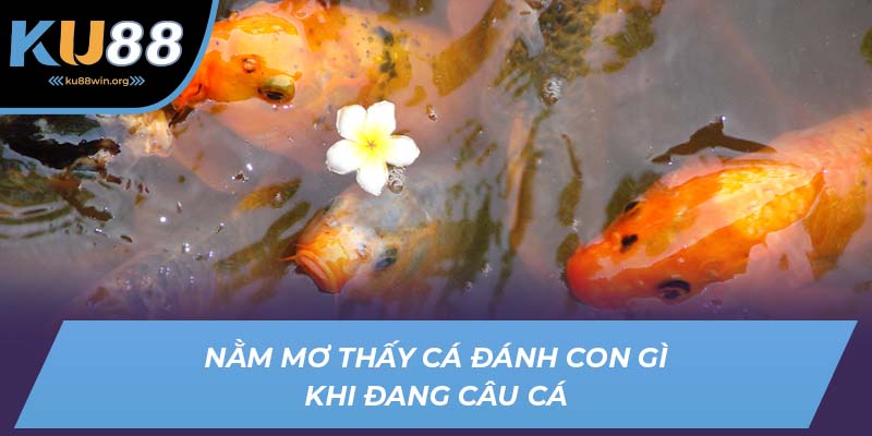 Nằm mơ thấy cá đánh con gì khi đang câu cá