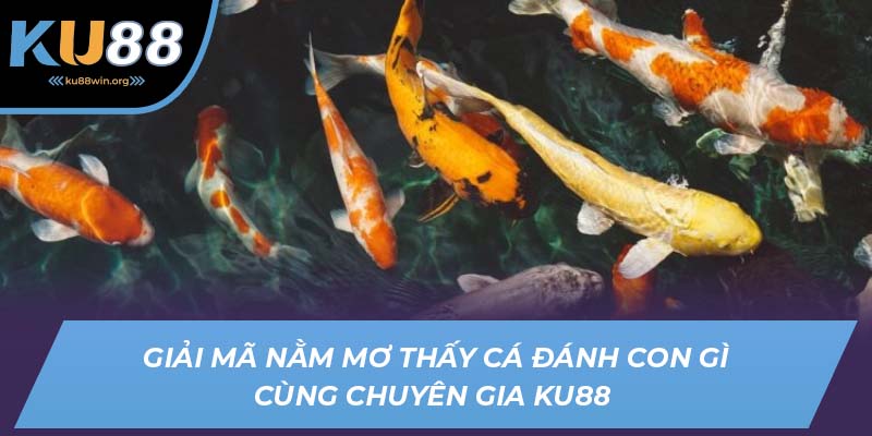 nằm mơ thấy cá đánh con gì ku88