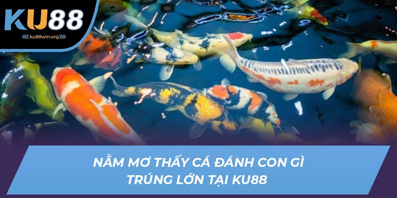 Nằm mơ thấy cá đánh con gì trúng lớn tại KU88