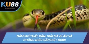 nằm mơ thấy rắn ku88