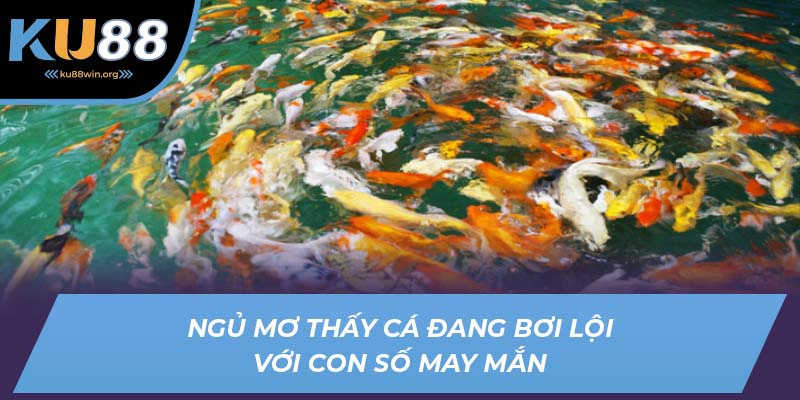 Ngủ mơ thấy cá đang bơi lội với con số may mắn