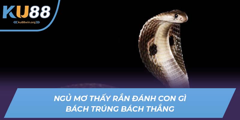 Ngủ mơ thấy rắn đánh con gì bách trúng bách thắng