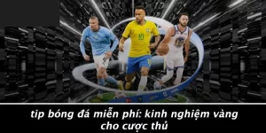 TIP BÓNG ĐÁ MIỄN PHÍ